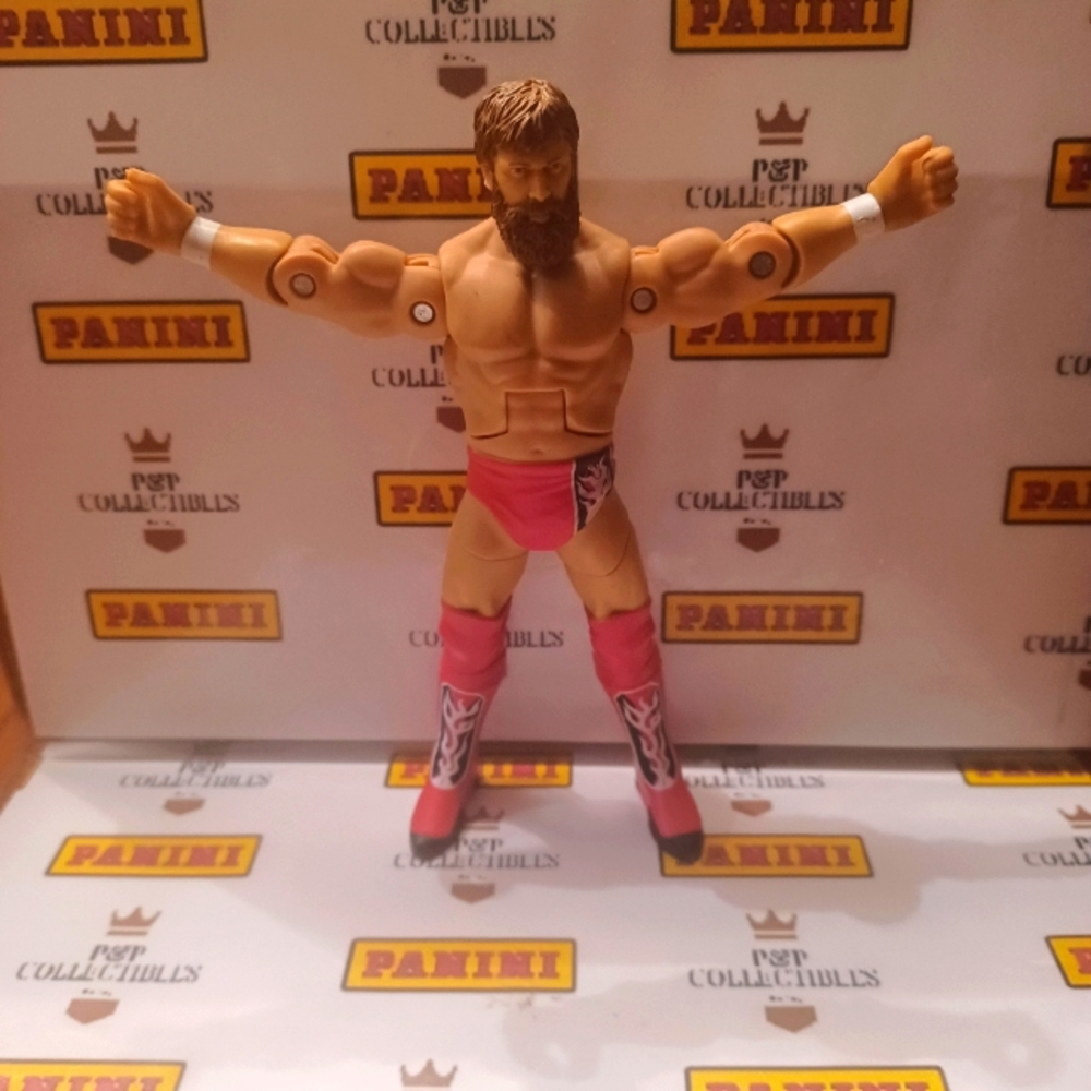 Daniel Bryan 🔥 WWE Wrestling Action Figure Toy